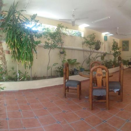Room In Guest Room - Padrinos Hostal La Paz Full House Eksteriør billede