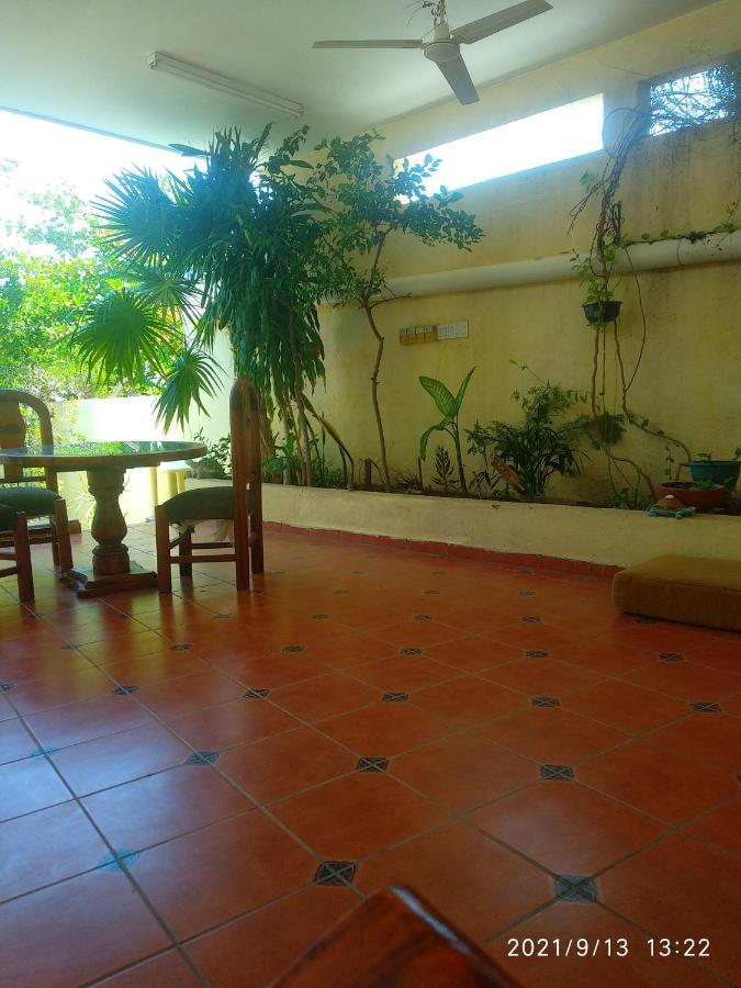 Room In Guest Room - Padrinos Hostal La Paz Full House Eksteriør billede